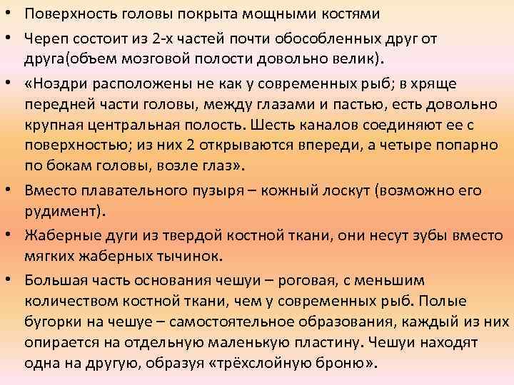  • Поверхность головы покрыта мощными костями • Череп состоит из 2 -х частей