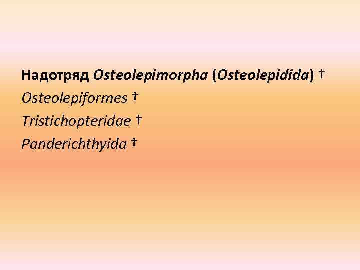 Надотряд Osteolepimorpha (Osteolepidida) † Osteolepiformes † Tristichopteridae † Panderichthyida † 