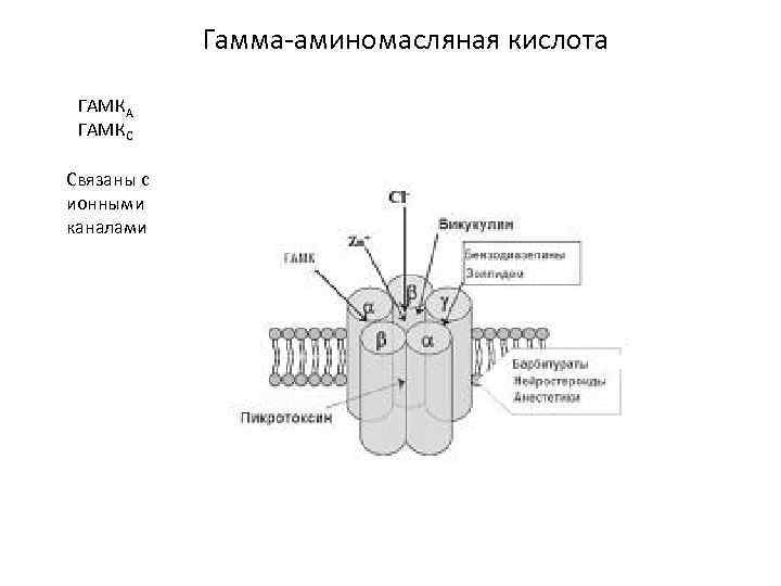 Гамма-аминомасляная кислота ГАМКА ГАМКС Связаны с ионными каналами 