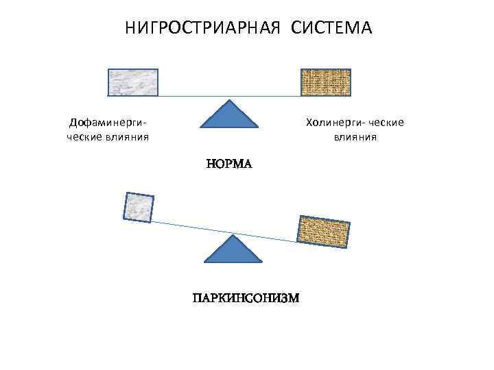 НИГРОСТРИАРНАЯ СИСТЕМА Дофаминергические влияния Холинерги- ческие влияния НОРМА ПАРКИНСОНИЗМ 