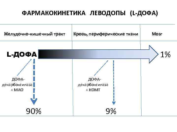 ФАРМАКОКИНЕТИКА ЛЕВОДОПЫ (L-ДОФА) Желудочно-кишечный тракт Кровь, периферические ткани 1% L-ДОФАдекарбоксилаза + МАО 90% Мозг