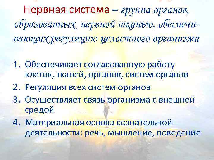 Биология 8 класс значение нервной системы презентация 8 класс