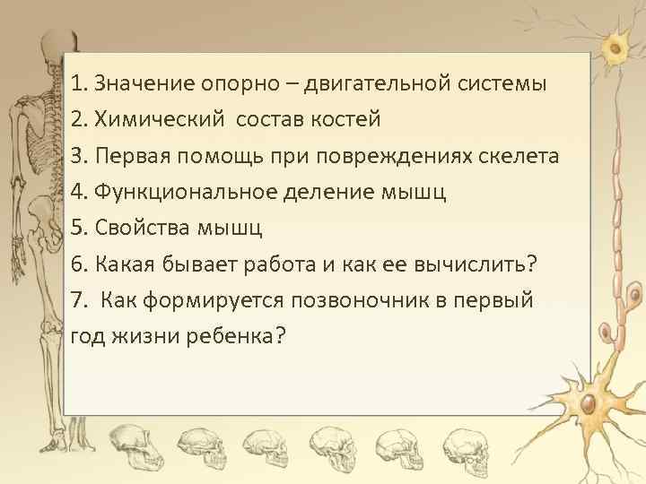 1. Значение опорно – двигательной системы 2. Химический состав костей 3. Первая помощь при
