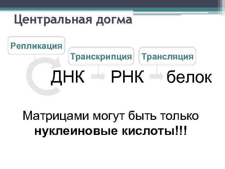 Центральная догма Репликация Транскрипция ДНК Трансляция РНК белок Матрицами могут быть только нуклеиновые кислоты!!!