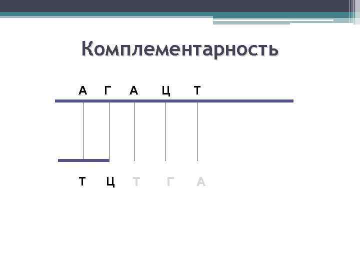 Комплементарность А Г А Ц Т Г Т А 