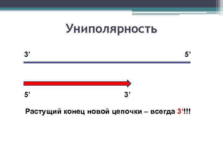 Униполярность 3’ 5’ 5’ 3’ Растущий конец новой цепочки – всегда 3‘!!! 