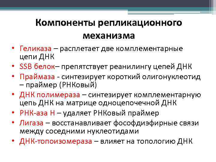 Компоненты репликационного механизма • Геликаза – расплетает две комплементарные цепи ДНК • SSB белок–