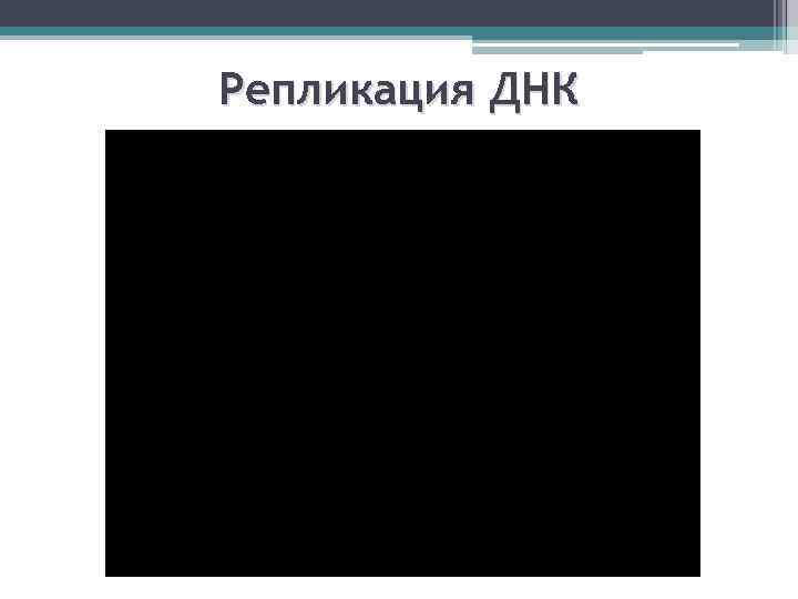 Репликация ДНК 