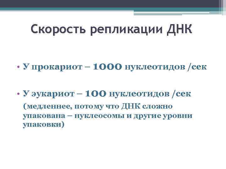 Скорость репликации ДНК • У прокариот – 1000 нуклеотидов /сек • У эукариот –