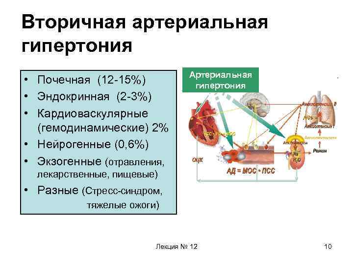 Вторичная артериальная гипертензия. Симптомы вторичной артериальной гипертензии. Причины вторичной артериальной гипертензии. Вторичная симптоматическая артериальная гипертензия. Вторичная артериальная гипертония почечная.