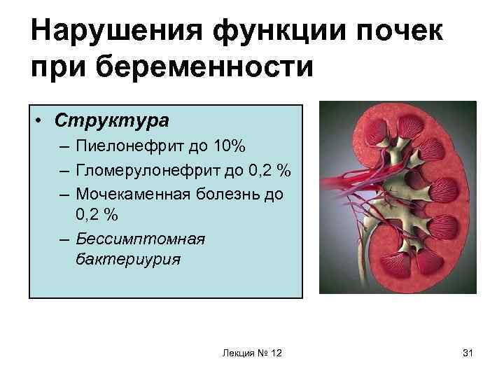 Нарушение функционирования. Нарушение функции почек при гломерулонефрите. При нарушениях функции почек. Нарушение функции почек при пиелонефрите. Функция почек нарушена.