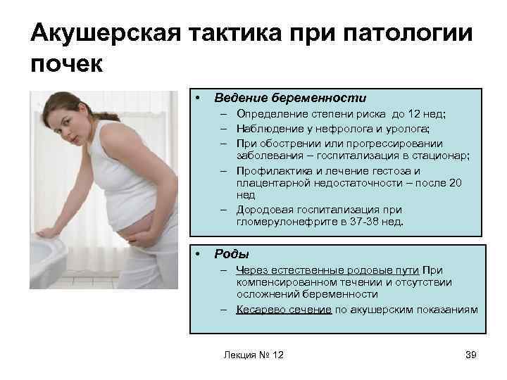 Голод на ранних сроках. Симптомы беременной женщины. Заболевания почек у беременных. Ведение беременных при заболеваниях почек.