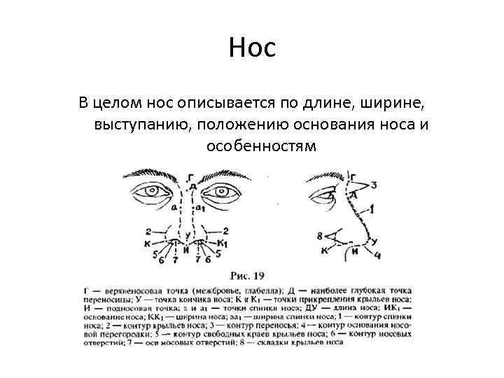 Описание внешности человека криминалистика образец с фото