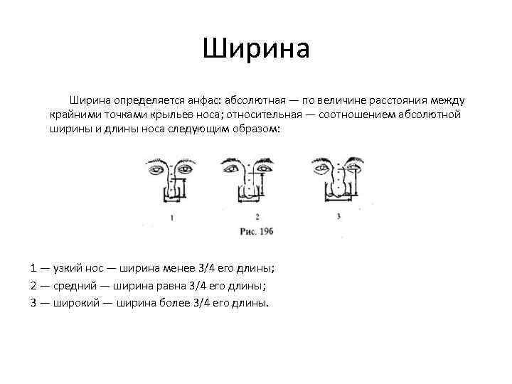 Ширина определяется анфас: абсолютная — по величине расстояния между крайними точками крыльев носа; относительная