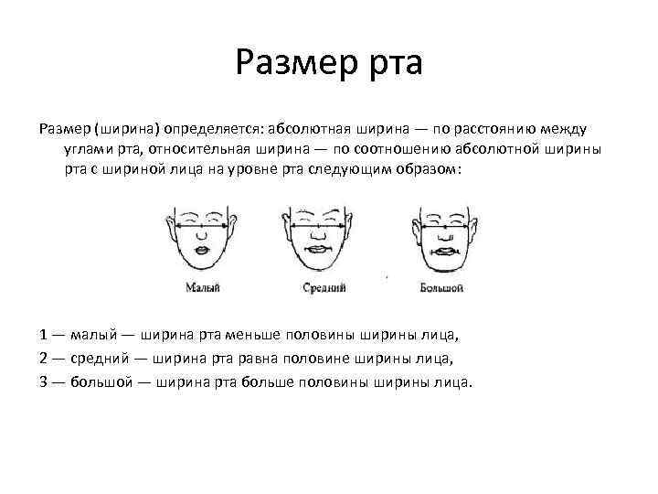 Правила описания внешности. Описание рта криминалистика. Форма рта криминалистика. Контур смыкания губ криминалистика. Ширина каймы губ криминалистика.