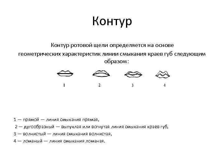 Словесный портрет человека образец