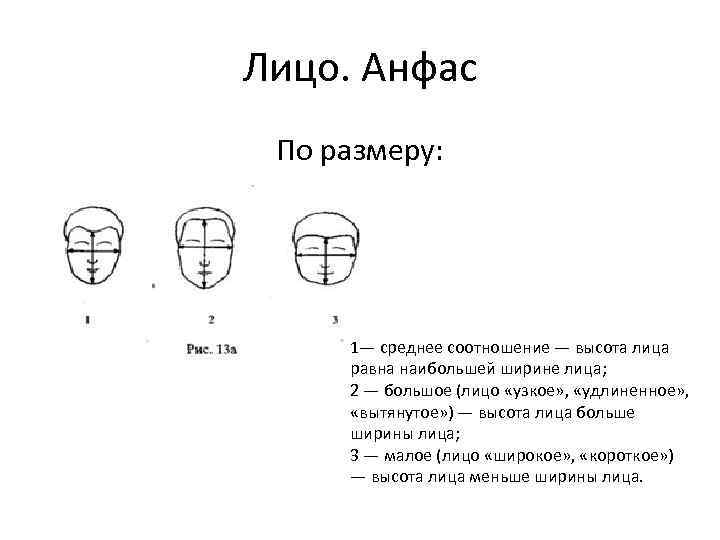 Словесный портрет пример криминалистика