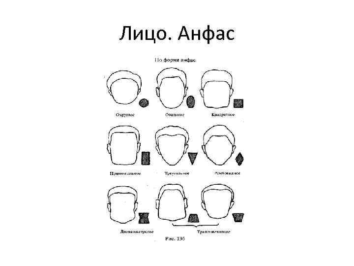 Описание внешности по фотографии криминалистика