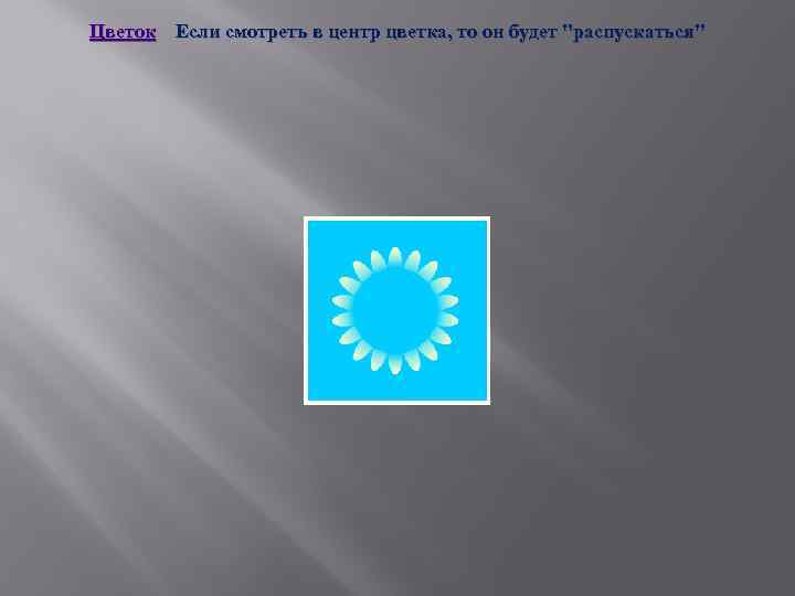 Цветок Если смотреть в центр цветка, то он будет 