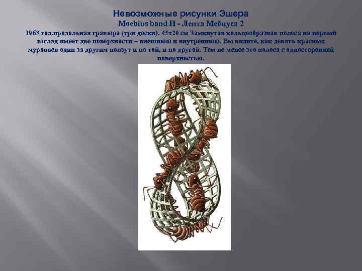 Невозможные рисунки Эшера Moebius band II - Лента Мебиуса 2 1963 год. продольная гравюра