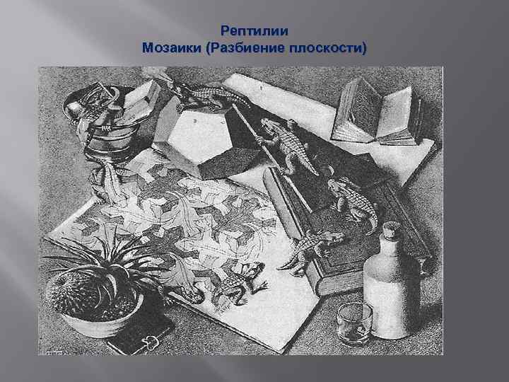 Рептилии Мозаики (Разбиение плоскости) 