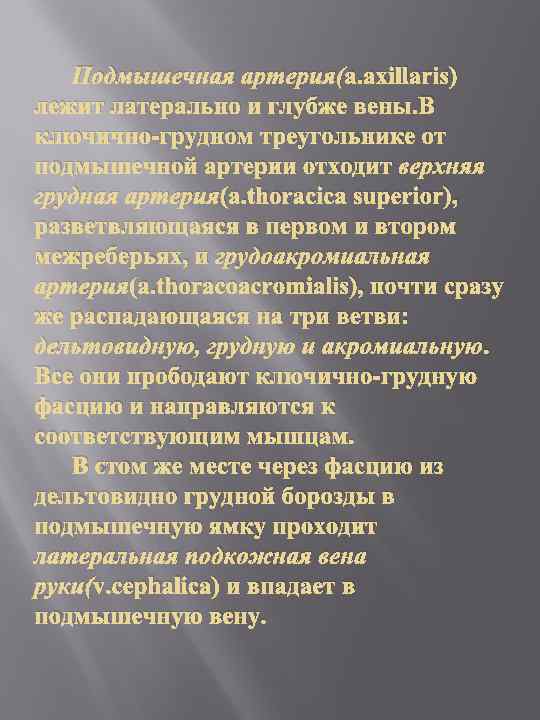 Подмышечная артерия(a. axillaris) лежит латерально и глубже вены. В ключично-грудном треугольнике от подмышечной артерии