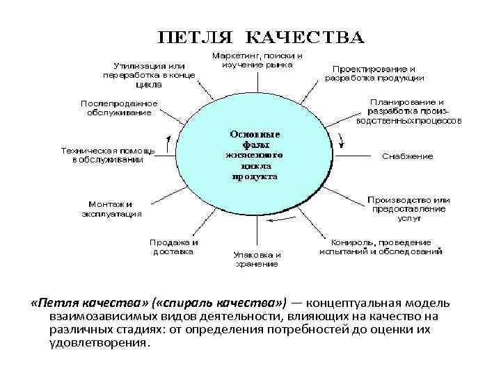  «Петля качества» ( «спираль качества» ) — концептуальная модель взаимозависимых видов деятельности, влияющих