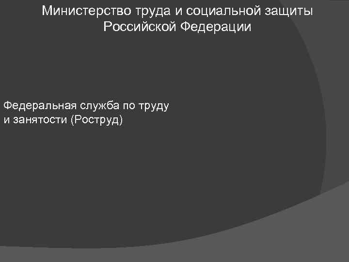 Министерство труда и социальной защиты Российской Федерации Федеральная служба по труду и занятости (Роструд)