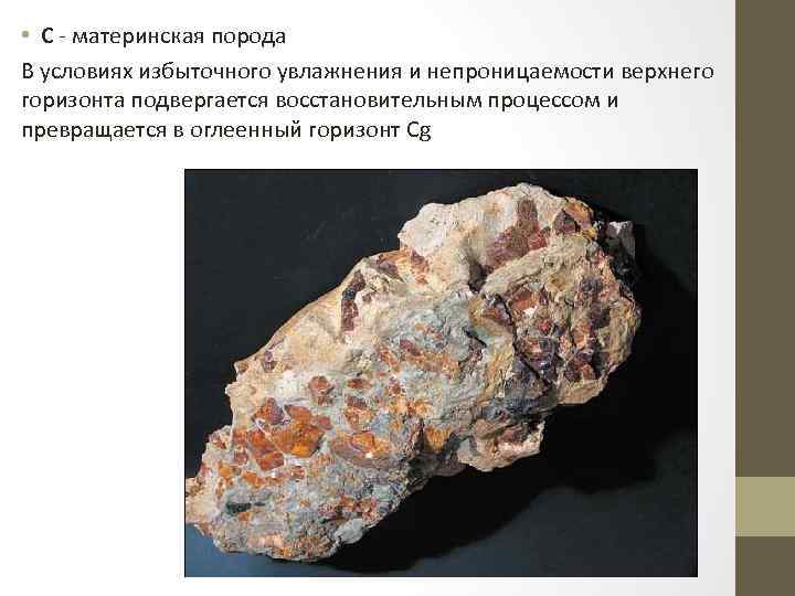  • С - материнская порода В условиях избыточного увлажнения и непроницаемости верхнего горизонта