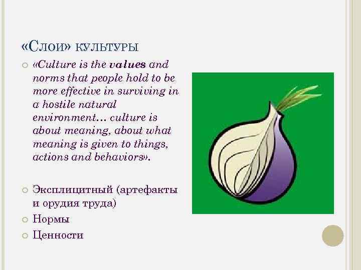  «СЛОИ» КУЛЬТУРЫ «Culture is the values and norms that people hold to be