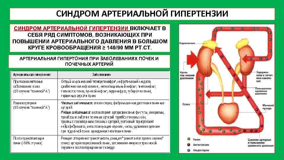 План лечения артериальной гипертензии