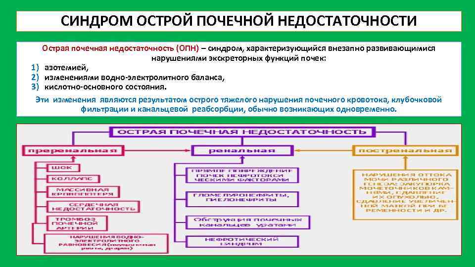 Клиническая картина острой почечной недостаточности