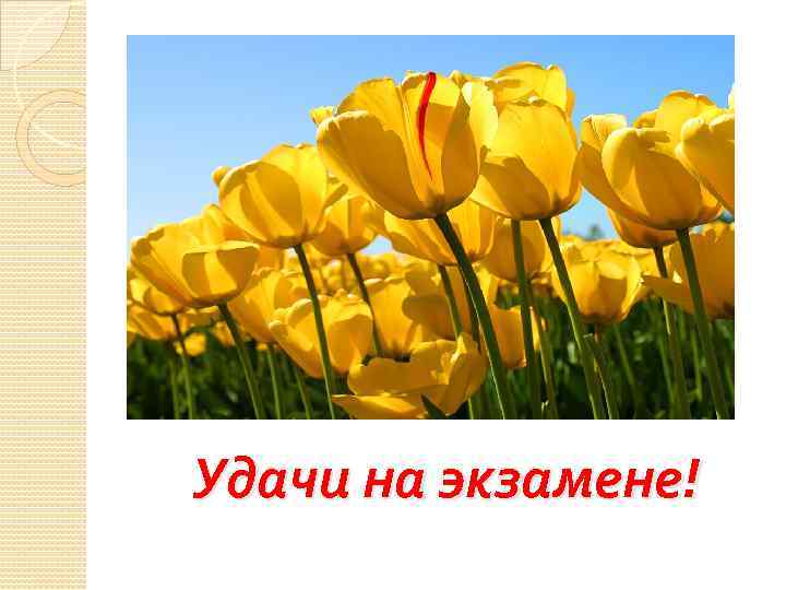 Удачи на экзамене! 