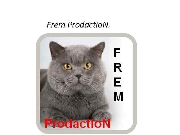 Frem Prodactio. N. 