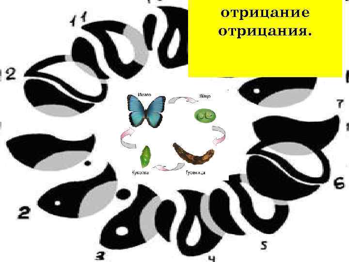 отрицание отрицания. 