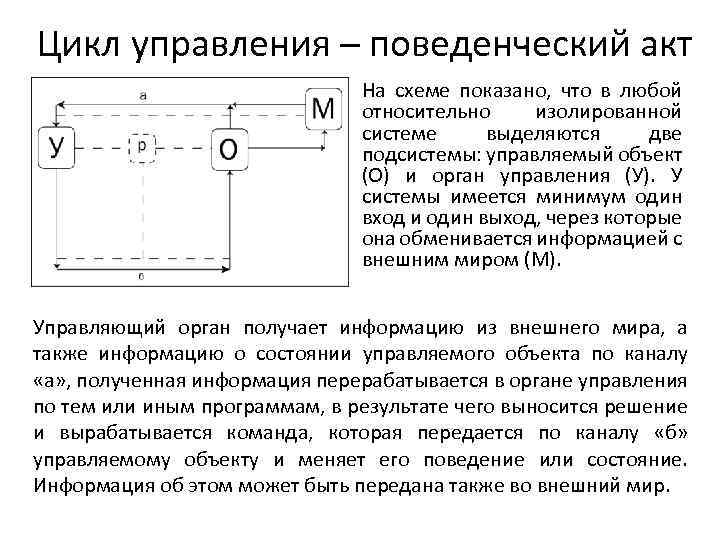 Цикл управления – поведенческий акт На схеме показано, что в любой относительно изолированной системе