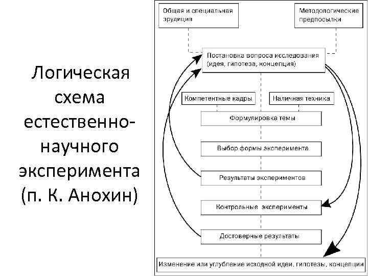 Логическая схема естественнонаучного эксперимента (п. К. Анохин) 