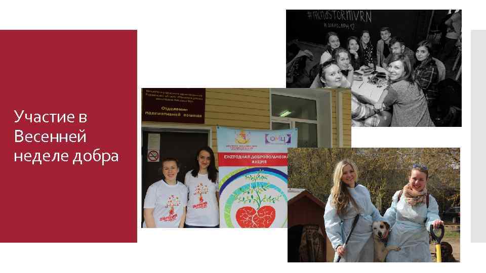 Участие в Весенней неделе добра 