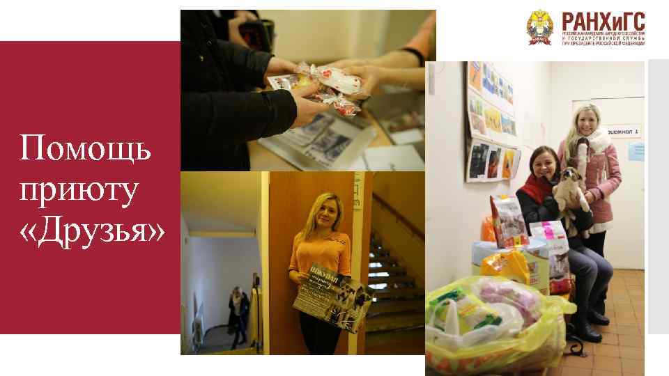 Помощь приюту «Друзья» 