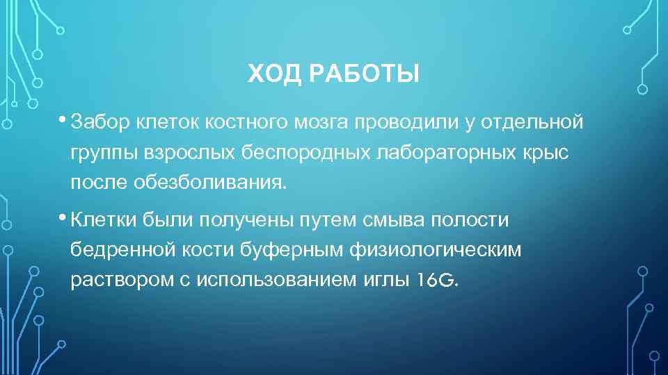 ХОД РАБОТЫ • Забор клеток костного мозга проводили у отдельной группы взрослых беспородных лабораторных
