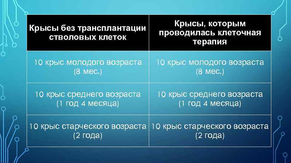 Крысы без трансплантации стволовых клеток Крысы, которым проводилась клеточная терапия 10 крыс молодого возраста