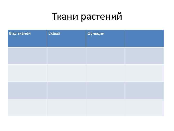 Ткани растений Вид тканей Схема функции 