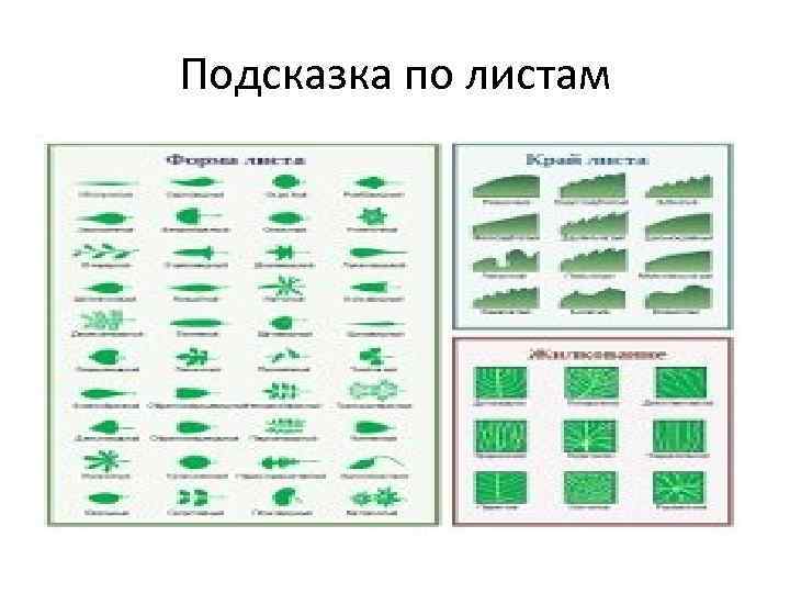 Подсказка по листам 