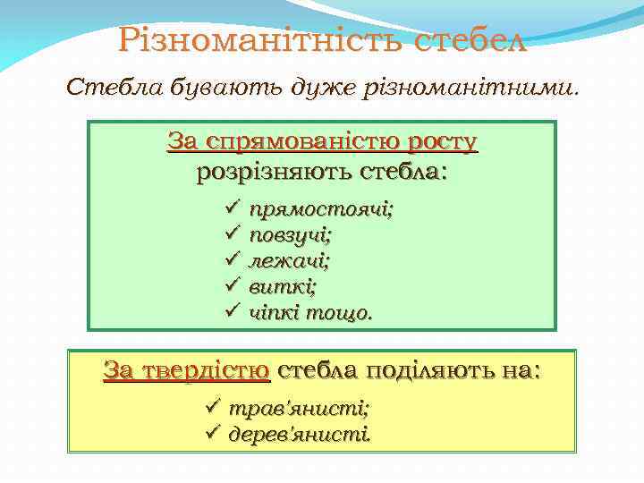 Різноманітність стебел Стебла бувають дуже різноманітними. За спрямованістю росту розрізняють стебла: ü прямостоячі; ü