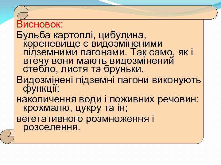 Висновок: Бульба картоплі, цибулина, кореневище є видозміненими підземними пагонами. Так само, як і втечу