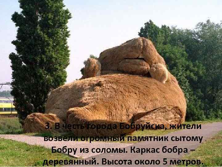 3. В честь города Бобруйска, жители возвели огромный памятник сытому Бобру из соломы. Каркас