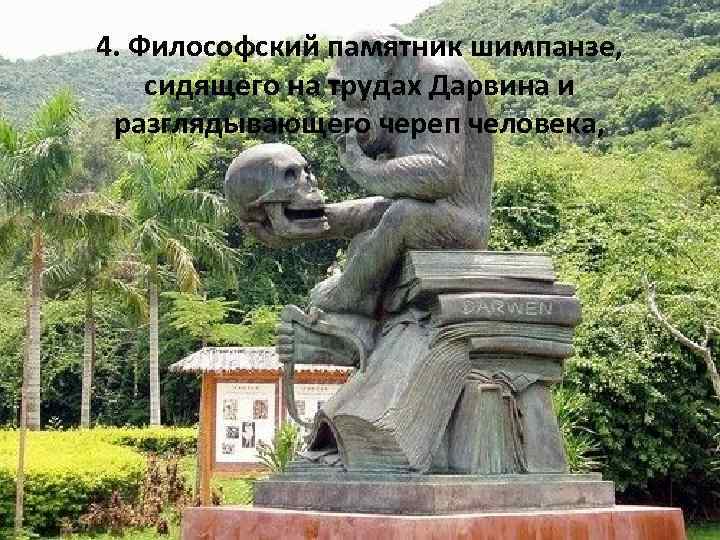 4. Философский памятник шимпанзе, сидящего на трудах Дарвина и разглядывающего череп человека, 