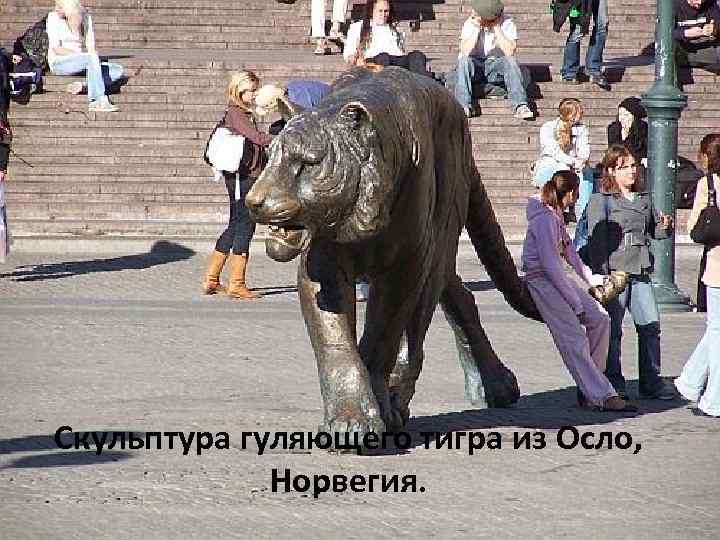Скульптура гуляющего тигра из Осло, Норвегия. 