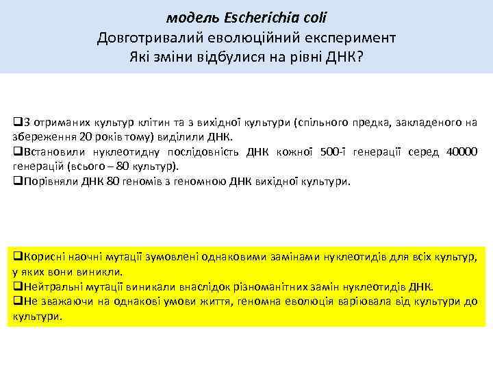 модель Escherichia coli Довготривалий еволюційний експеримент Які зміни відбулися на рівні ДНК? q. З