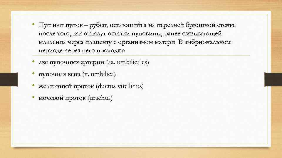  • Пуп или пупок – рубец, остающийся на передней брюшной стенке после того,